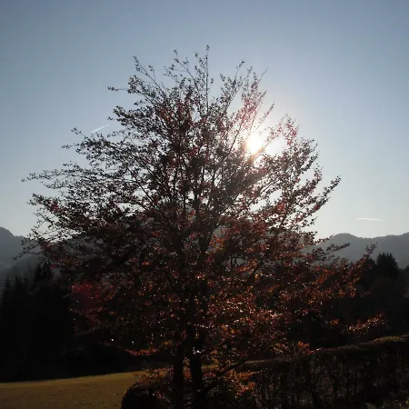 Vendégház Haus Niedermoser