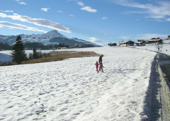 بيت ضيافة هاوس نيدرموسر *