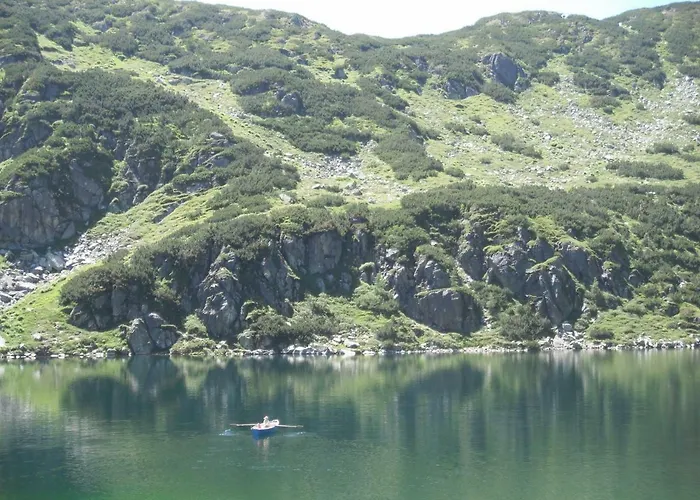 هاوس نيدرموسر *