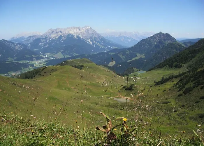 هاوس نيدرموسر بيت ضيافة *