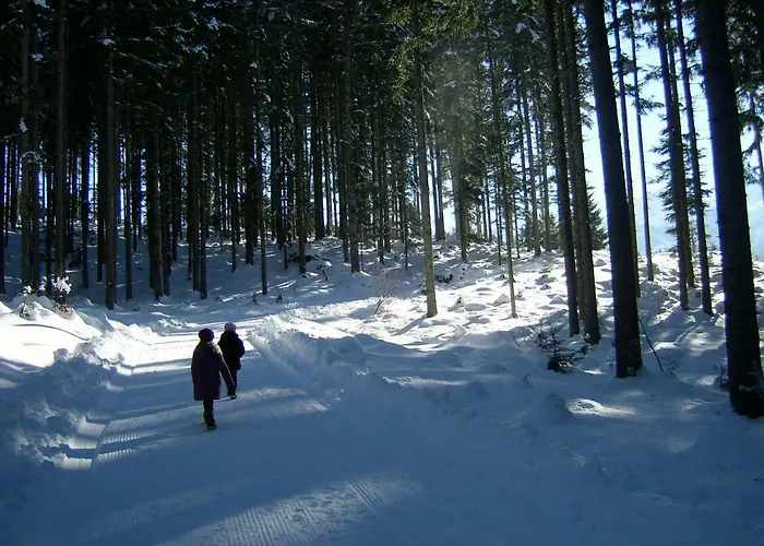 هاوس نيدرموسر سانكت ياكوب في هاوس