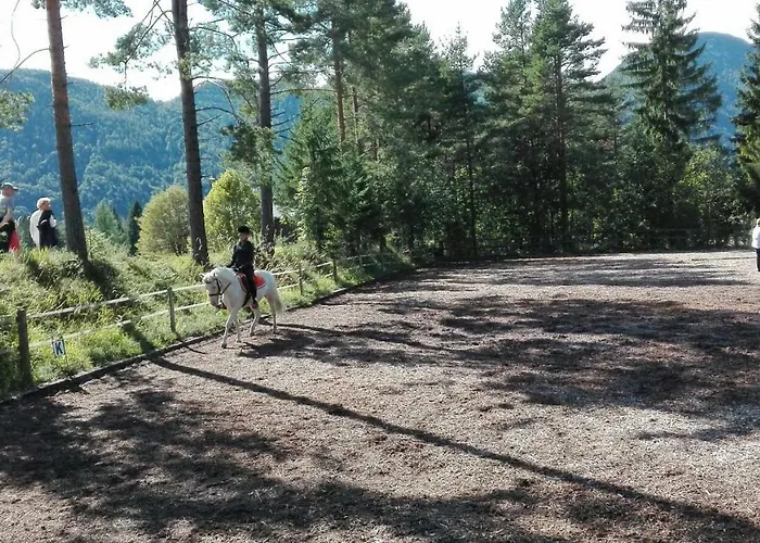 هاوس نيدرموسر *