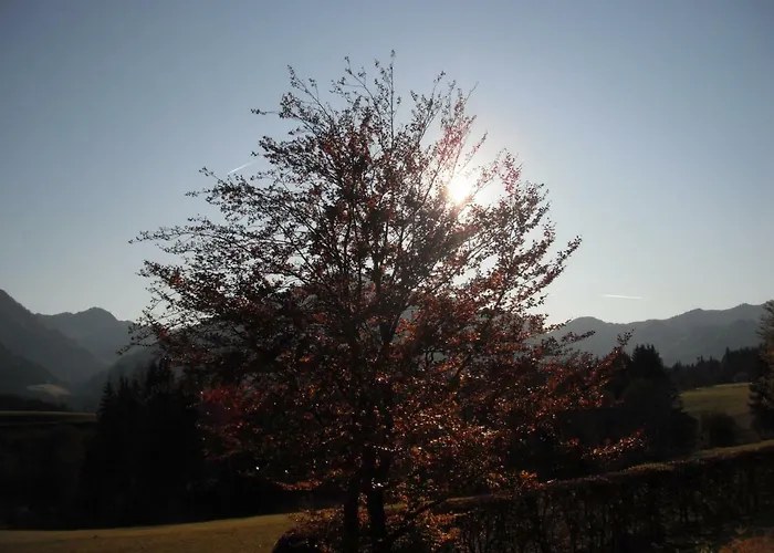 بيت ضيافة هاوس نيدرموسر