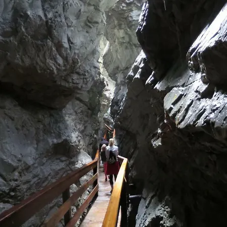 Haus Niedermoser Pensjonat *